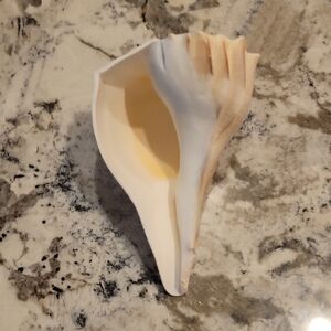 The "Lefty" of the Ocean